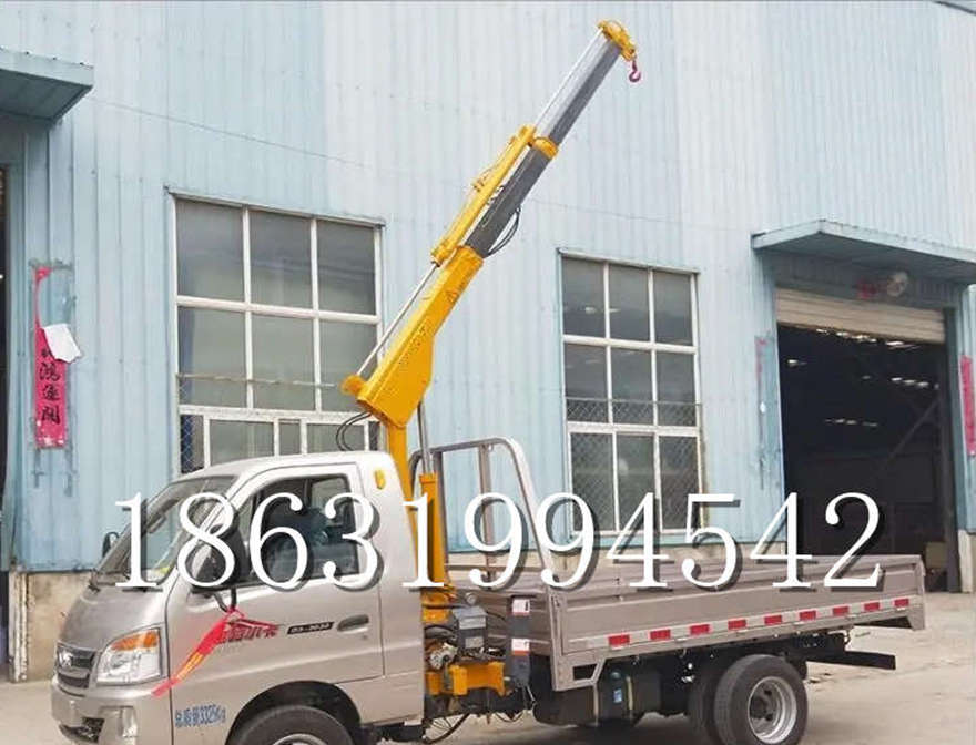 孟连傣族拉祜族佤族自治县车载吊机12/24V车载吊自走可移动式价格车载吊机多少钱仓库小型起重升降机